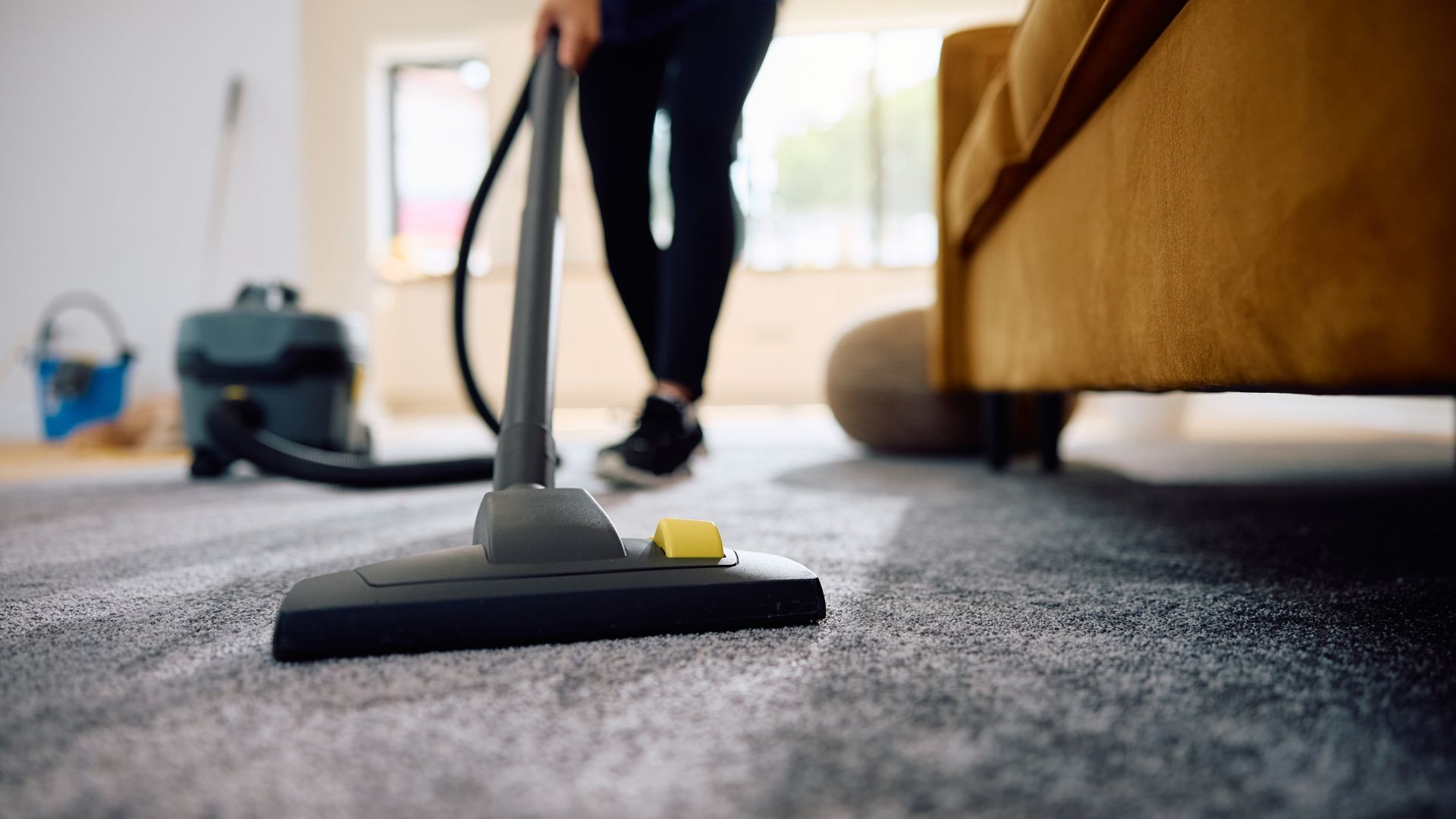 Clean, refreshed carpet in a Gatlinburg home after a professional steam cleaning service.